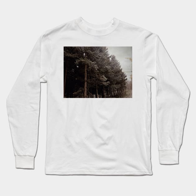 Vintage misty forest photography Long Sleeve T-Shirt by Dturner29